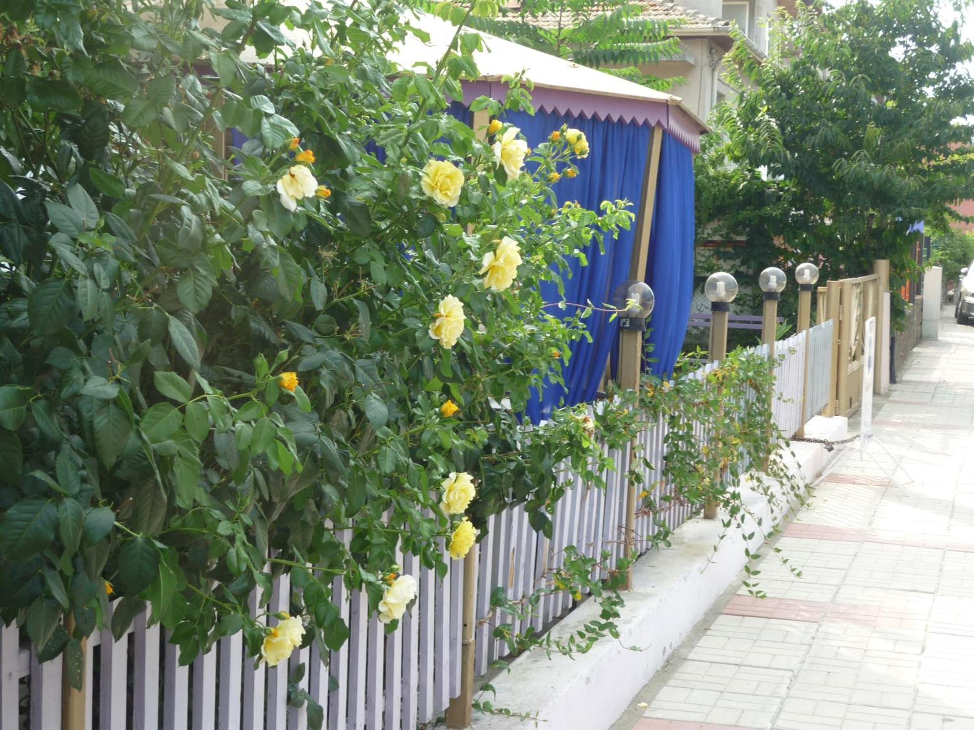 Hotel Strajica Lozenets Exterior foto